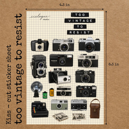 Vintage Camera Sticker Sheet — image 2